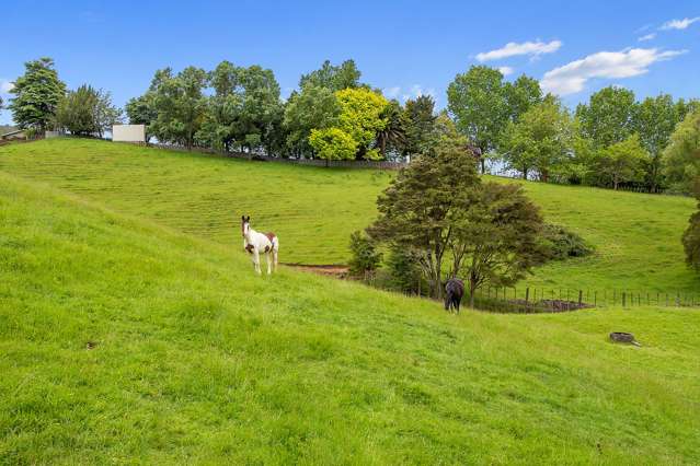 46 Te Puroa Road Ngaruawahia_2