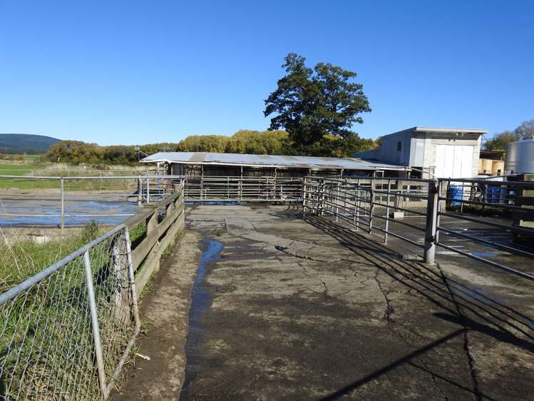 31 Waikouro Wairio Road Otautau_5