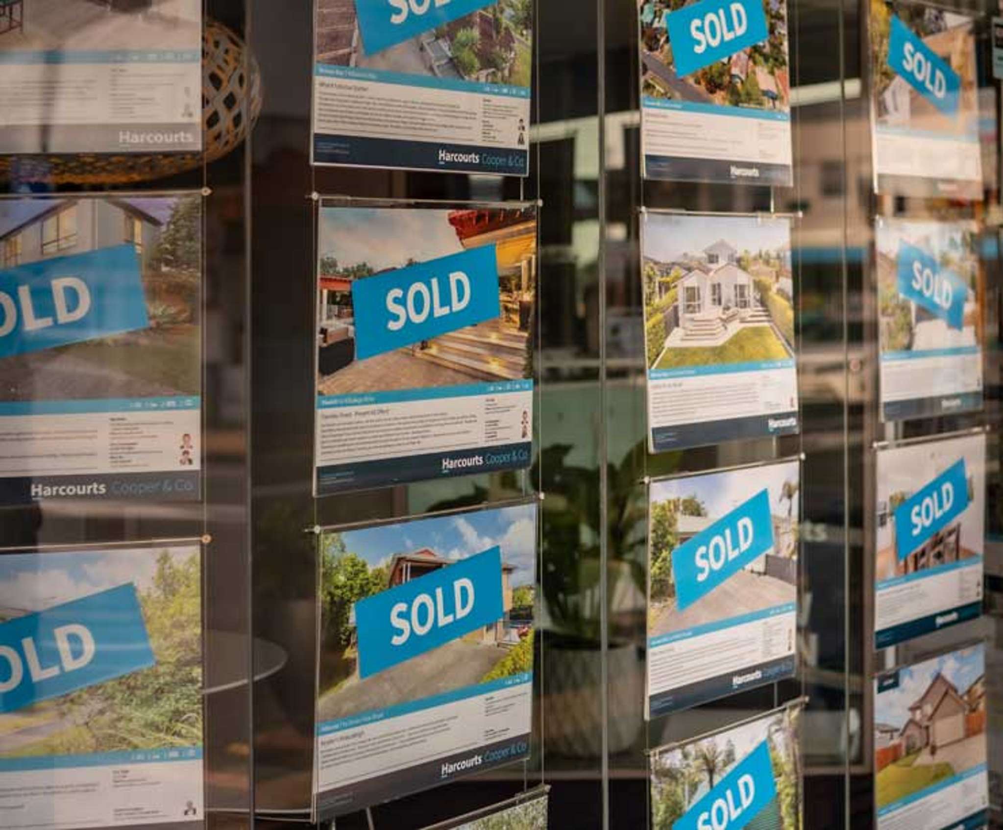 The magic formula for selling on Auckland's North Shore