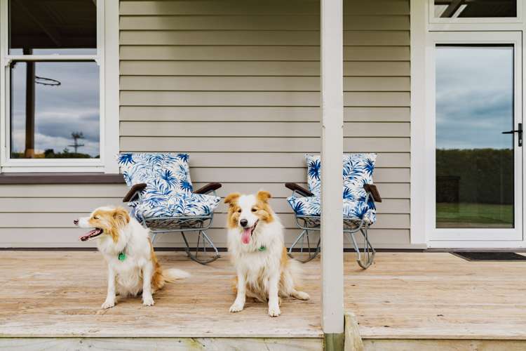 524 Allanton Road Outram_32