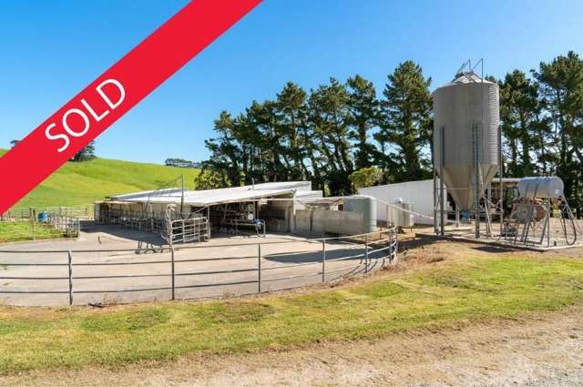 Waihi Dairy Farm with Lifestyle Appeal