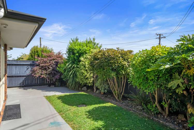 28 Dorset Street Levin_10