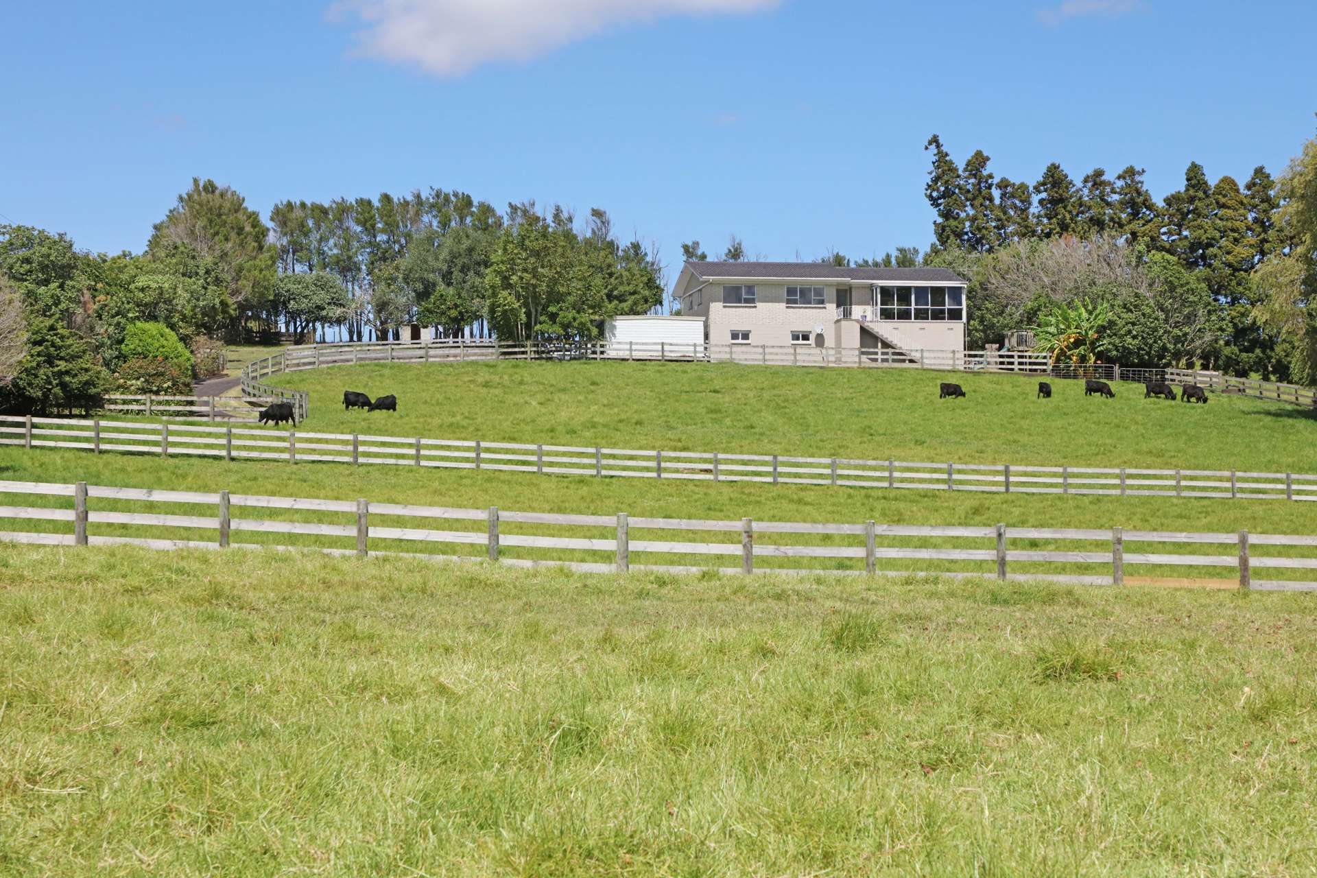 169 Glenbrook Waiuku Road Waiuku_0