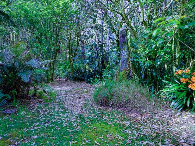 22A Waingaro Lane Kerikeri_34