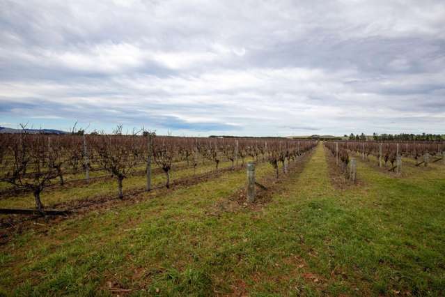 590 Georges Road Waipara_1