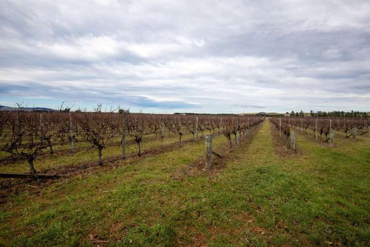 590 Georges Road Waipara_1