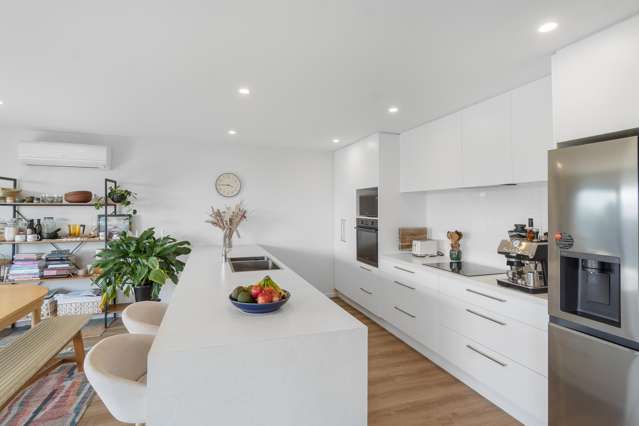 1 Adamite Drive Rolleston_4