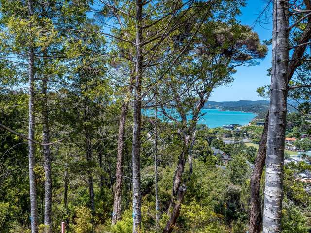 15A Joyces Road Paihia_1