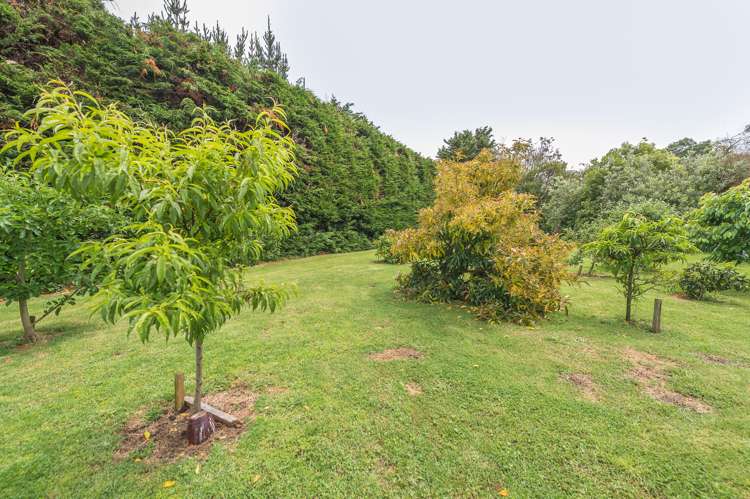 153 Springvale Road Westmere_20