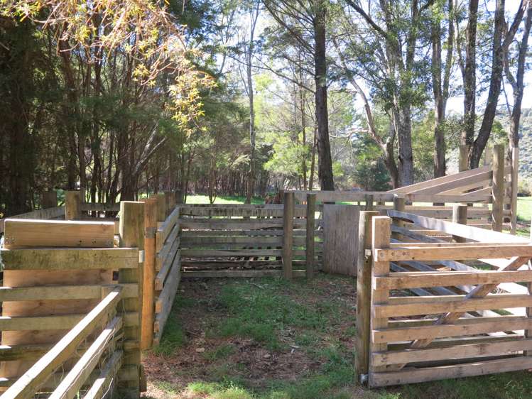 512 Hamama Road Takaka_10