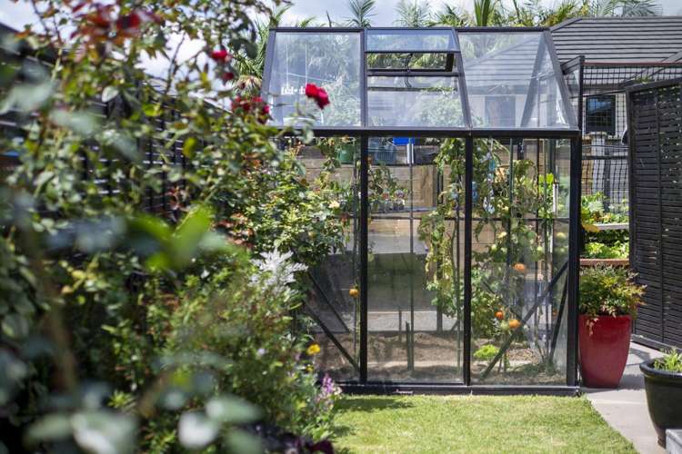 9 Augusta Rise Omokoroa_20