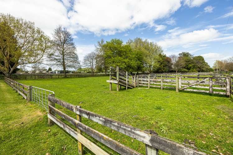 1212 Kaipaki Road Cambridge_21