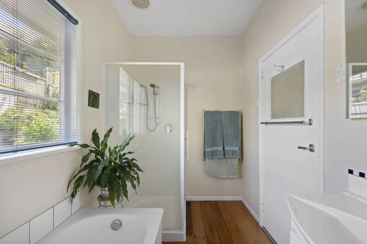 20 Thompson Road Bluff Hill_9