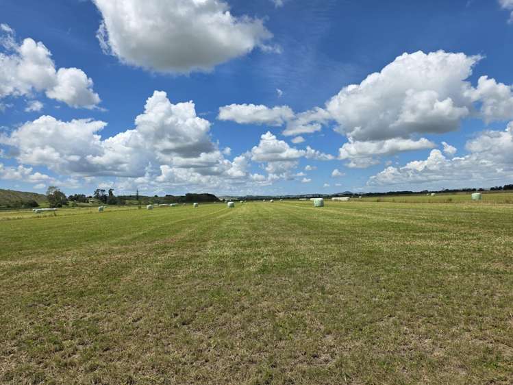 Blong Road Ruawai_13