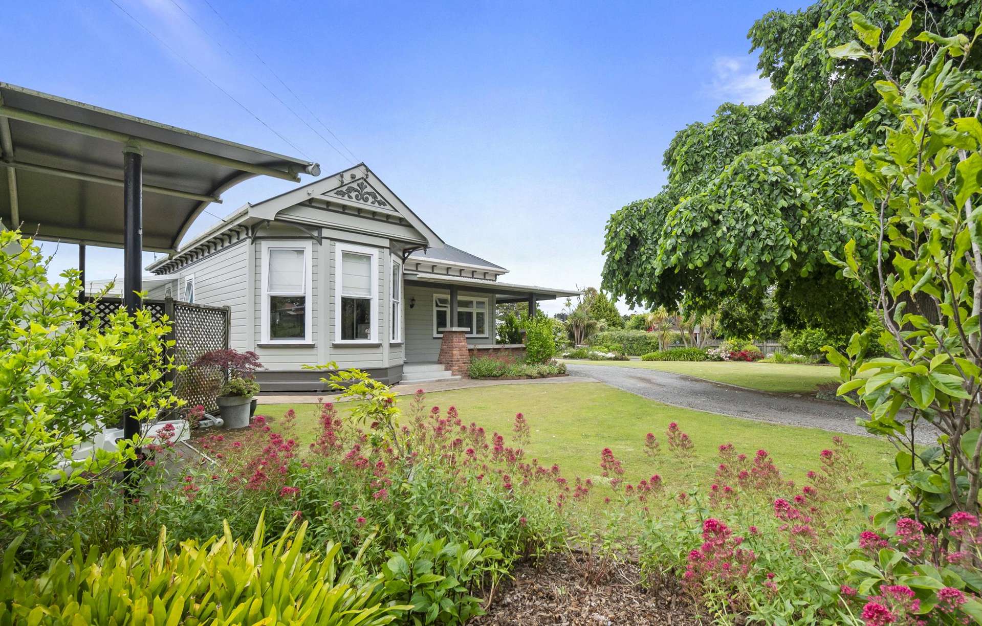 19 Johnson Street Bulls_0