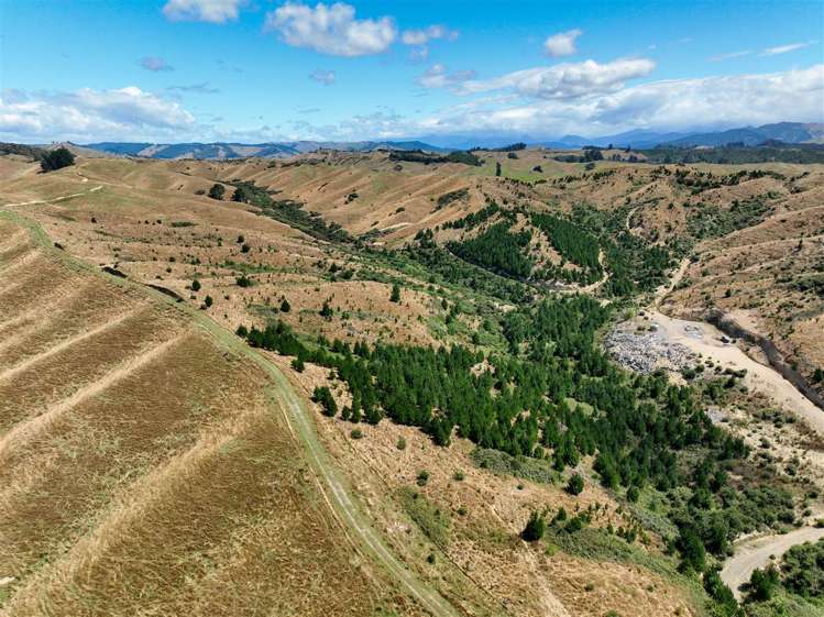 223 Rose Road Upper Moutere_8