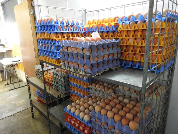 38 Slippery Road Tapawera_4