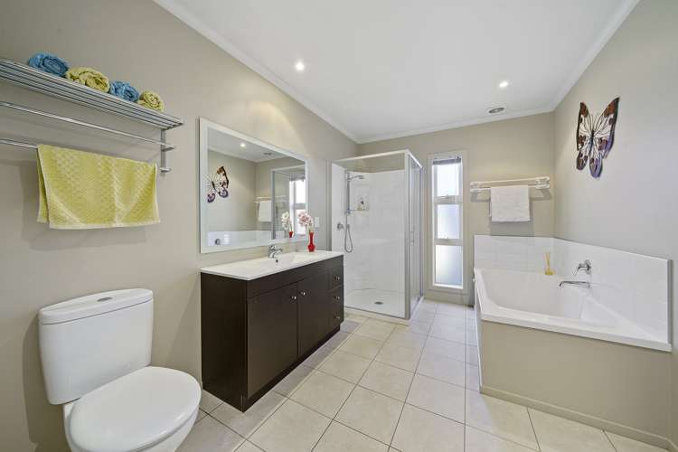 3 Catlins Glen Aotea_19