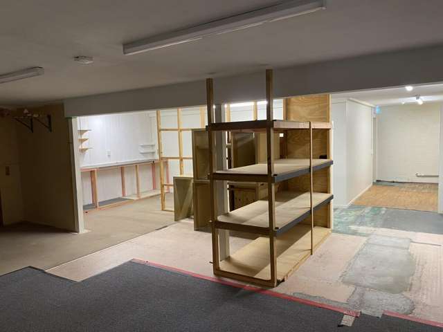 80 White Street Fenton Park_1