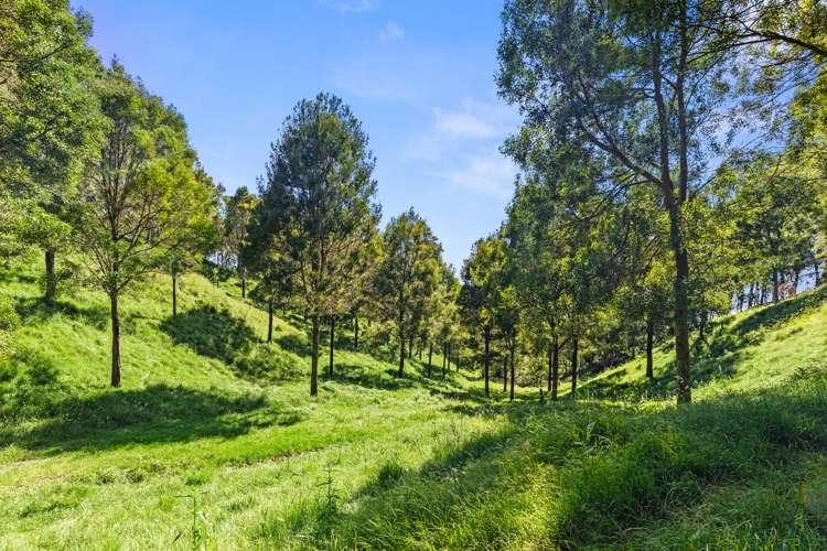 502e Reid Road Papamoa_11