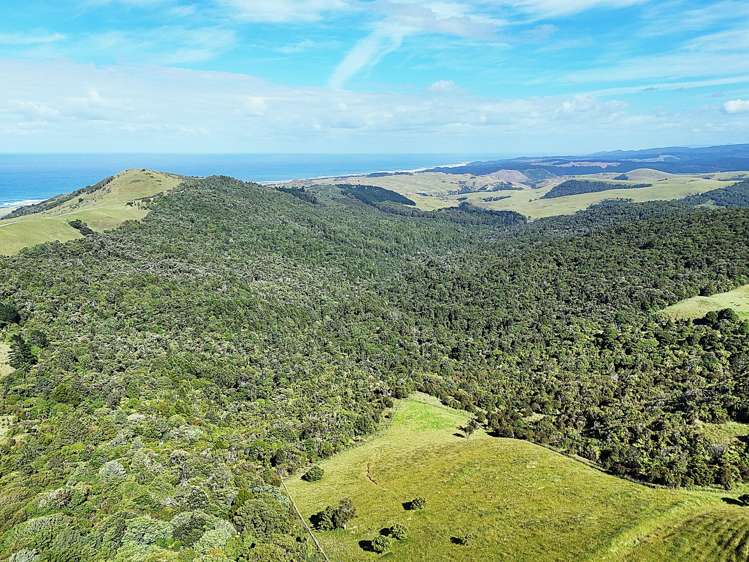 Cnr Hood Rd and SH12 Dargaville Surrounds_14
