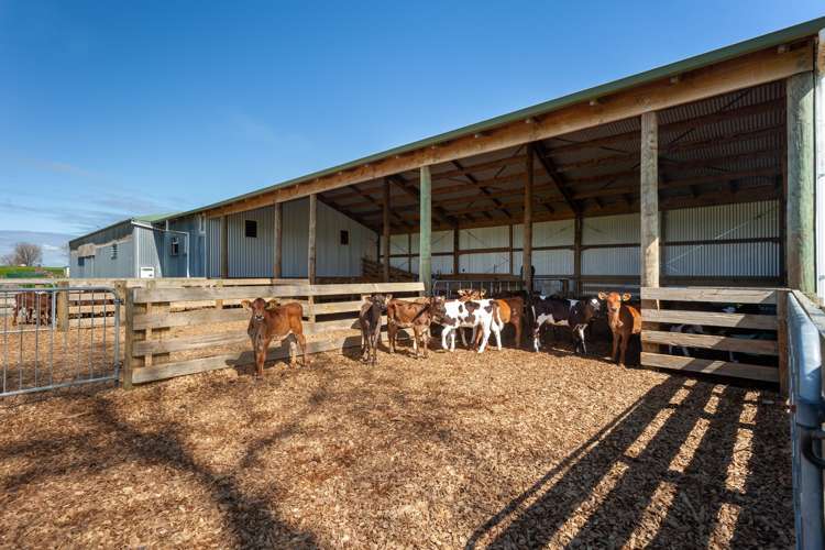 330 Rangitanuku Road Te Poi_8