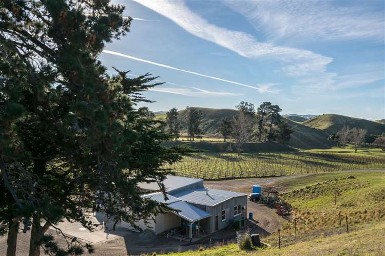 5468 State Highway 1 Seddon_8