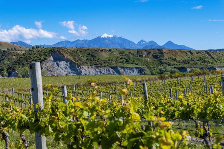 1829 Awatere Valley Road Awatere Valley_11