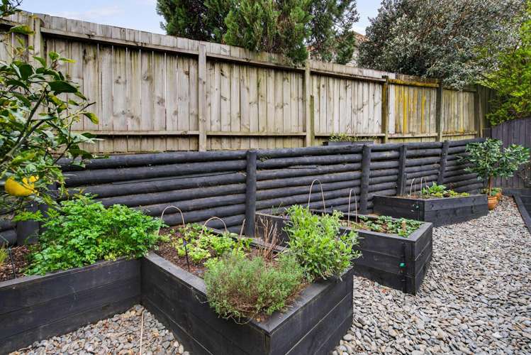 14b Pokapu Place Bethlehem_12