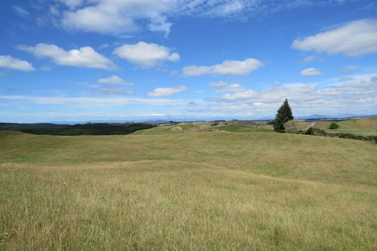 17 Hingarae Road Tihoi_13