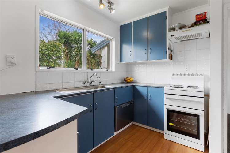 12 Conifer Place Te Puke_11