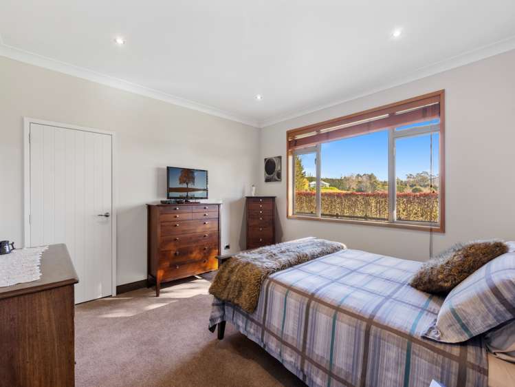 535 Esdaile Road Whakamarama_20