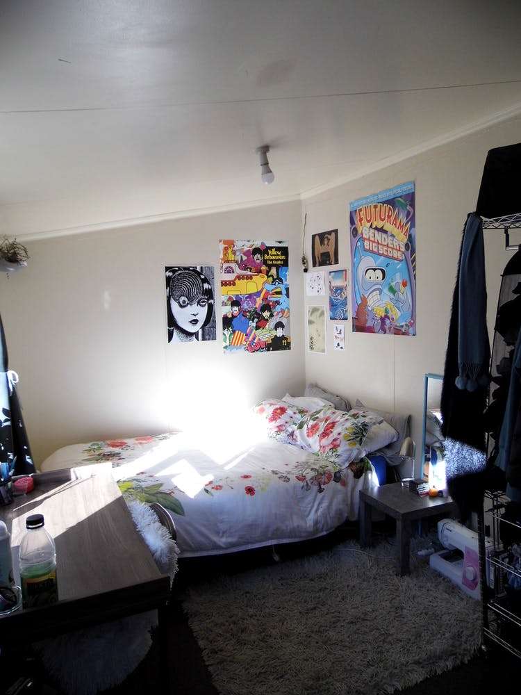 655 Castle Street North Dunedin_7