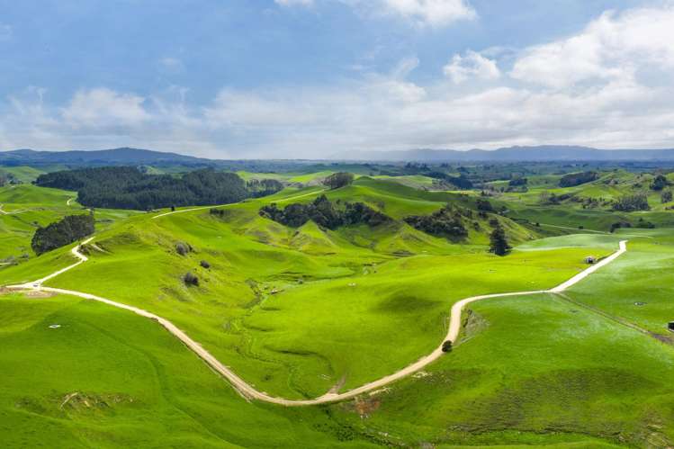 310 Paparamu Road Piarere_7