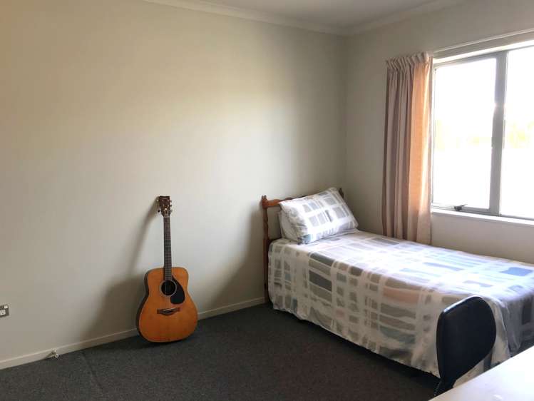 369 One Tree Point Road One Tree Point_13