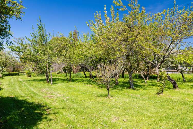 93a Harley Street Solway_21