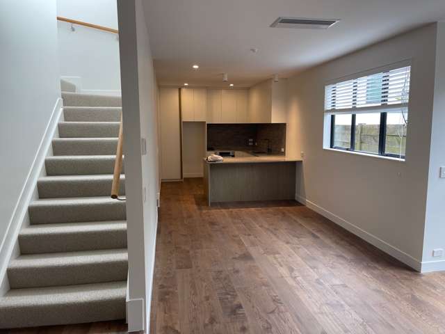 22 Te Hakari Lane Remuera_4