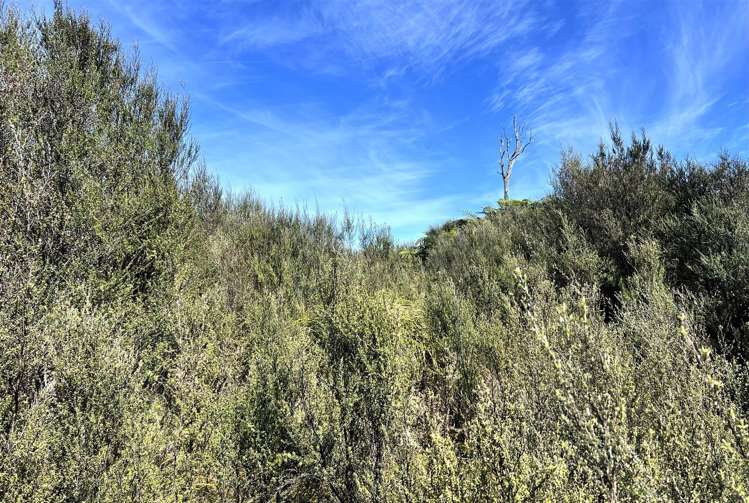 Arnott Heights Greymouth_10