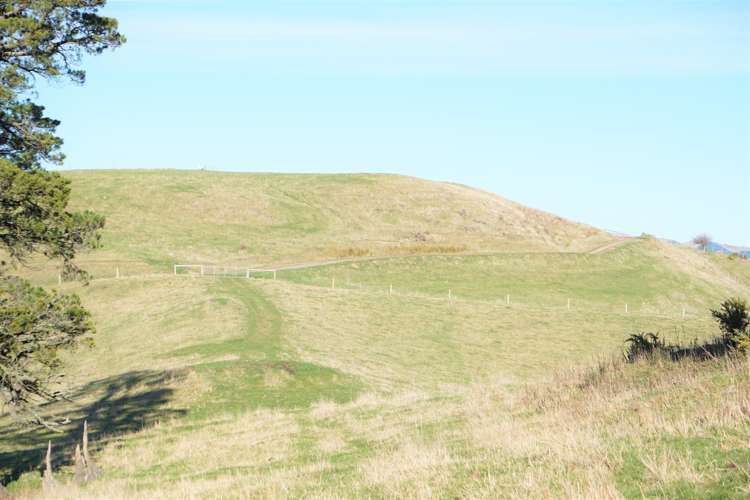 5645 West Coast Road Springfield_18