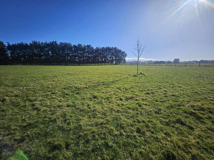 35 Laws Road Dannevirke_21