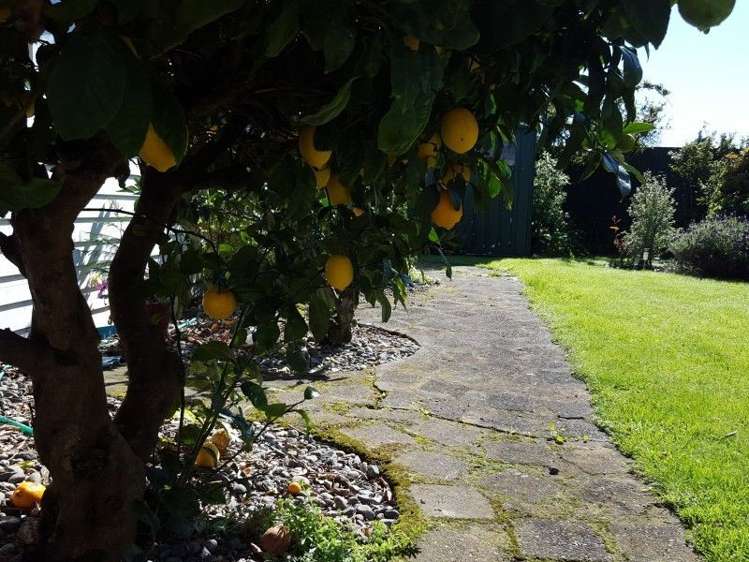 59 Brandon Street Featherston_2