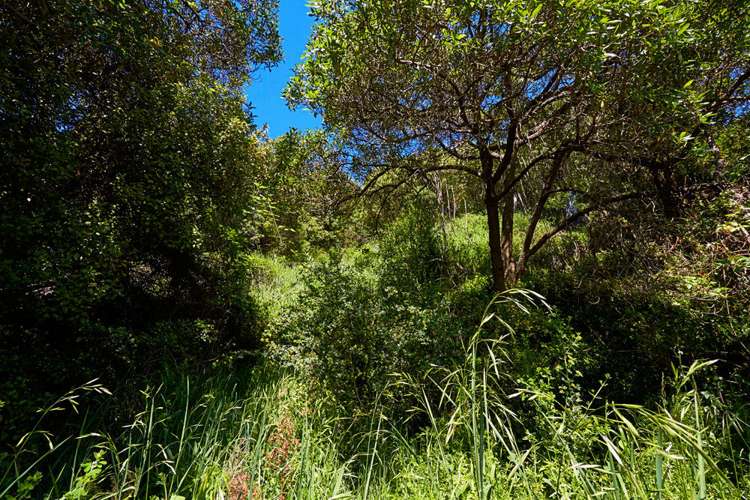 52 Torquay Street Kaikoura_22