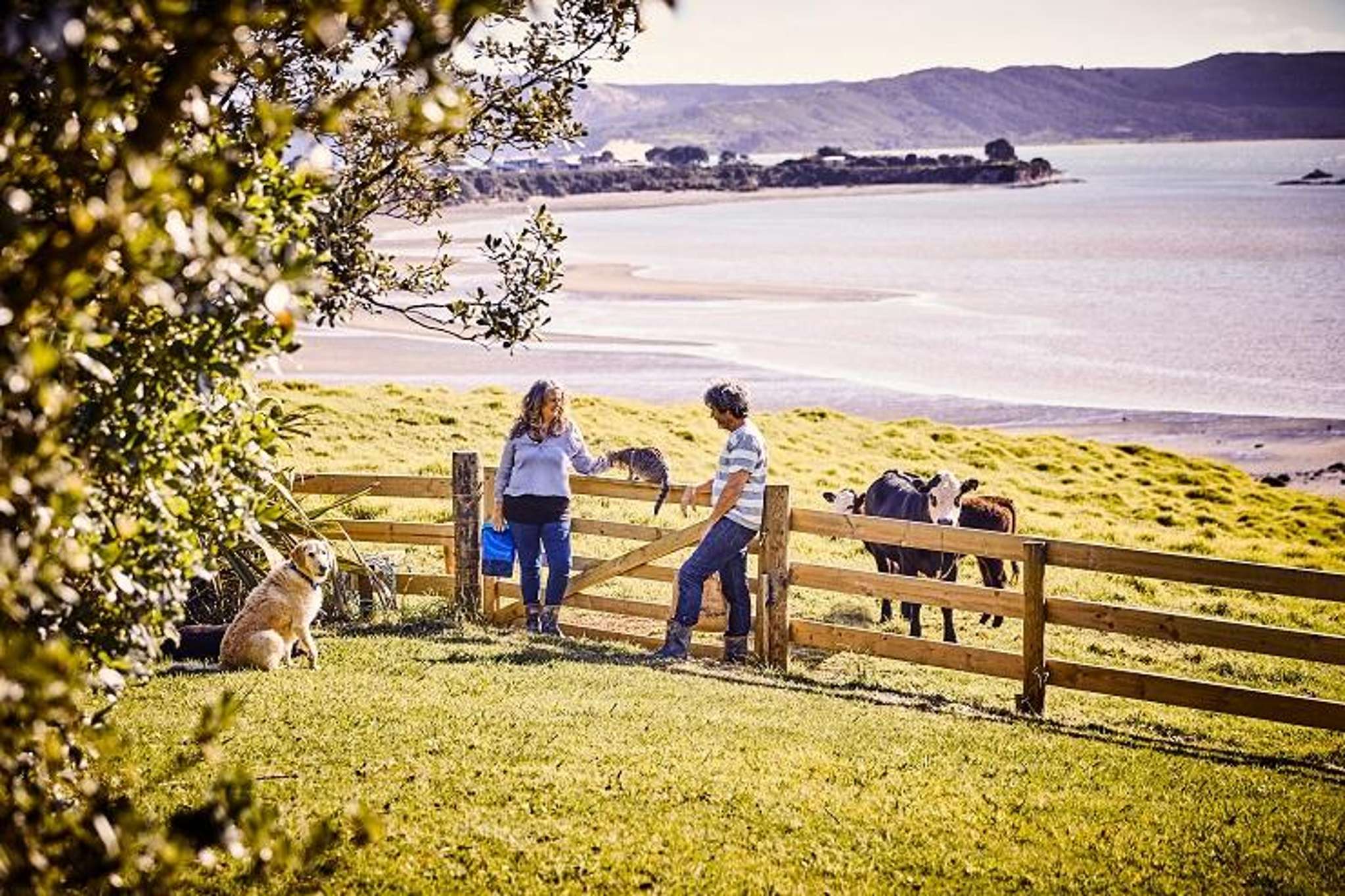 Green goddess Wendyl Nissen and writer husband Paul Little selling their Hokianga escape