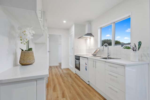 34 Finlayson Avenue Clendon Park_2