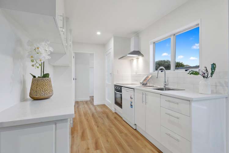 34 Finlayson Avenue Clendon Park_2