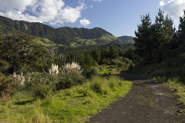 Secluded and Private Lifestyle Block