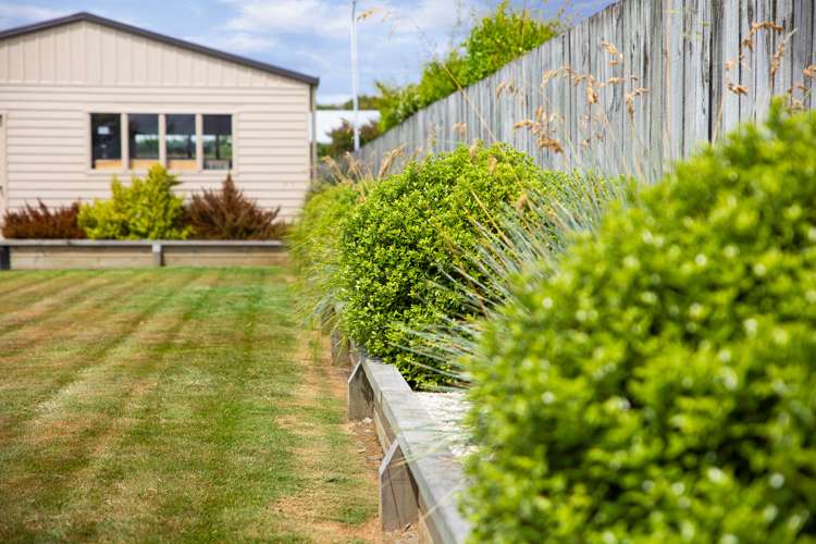 1c Cresswell Lane Riversdale_11