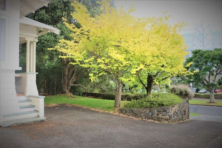 39 Reimers Avenue Mount Eden_16