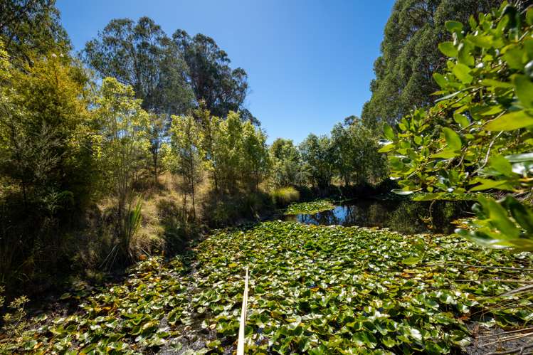 66 Stagecoach Road Upper Moutere_16