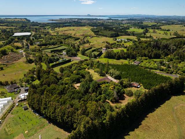 236 Willoughby Road Tahawai_4